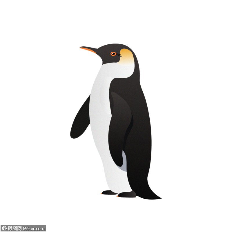 南极企鹅矢量插画