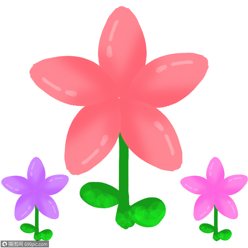 花朵手绘彩色花朵图片