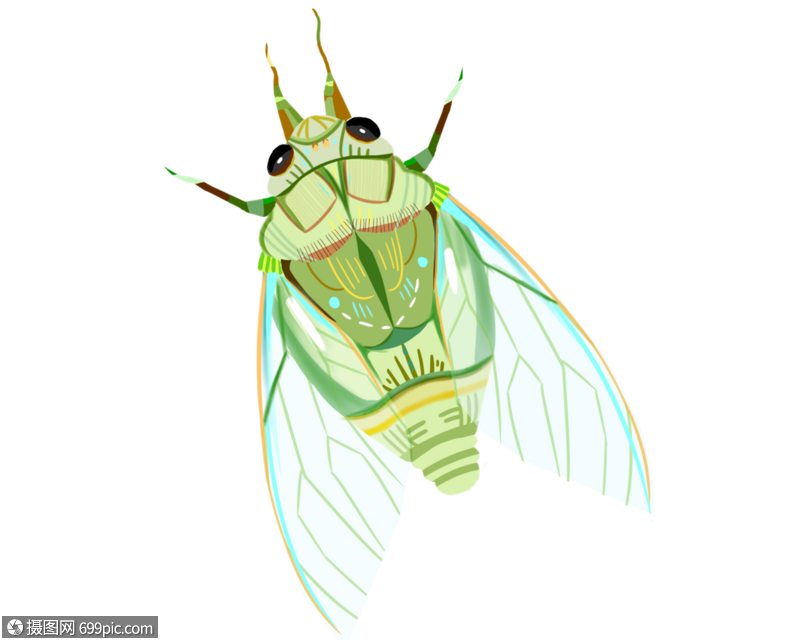 手绘/卡通元素> 蝉.psd
