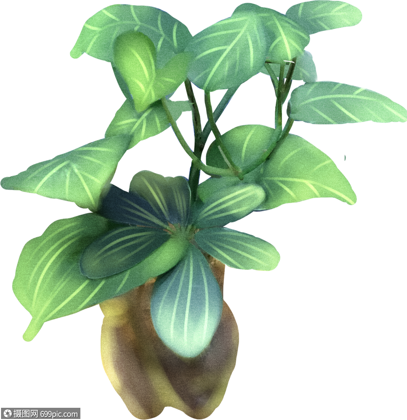 立夏植物植被个体图片