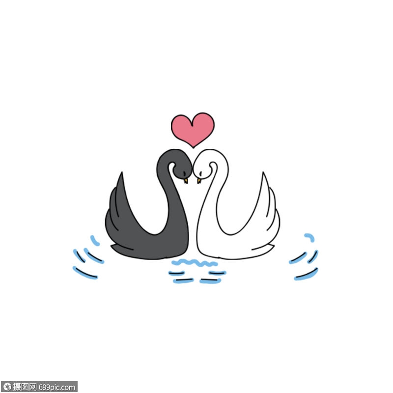 浪漫情人节亲吻的天鹅卡通手绘黑天鹅