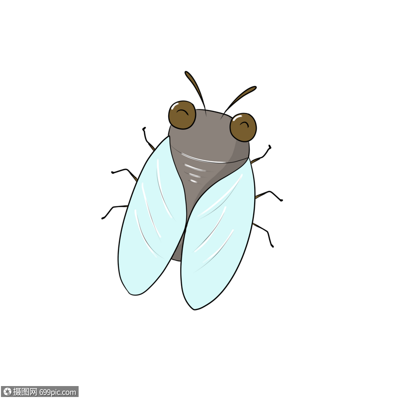 知了卡通夏日昆虫