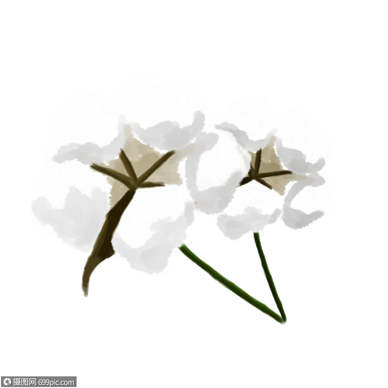 卡通手绘种子纤维洁白的棉花