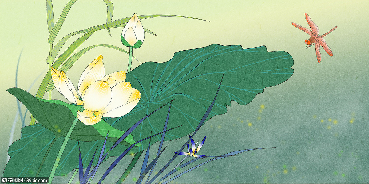 工笔荷花国画清新夏日手绘插画