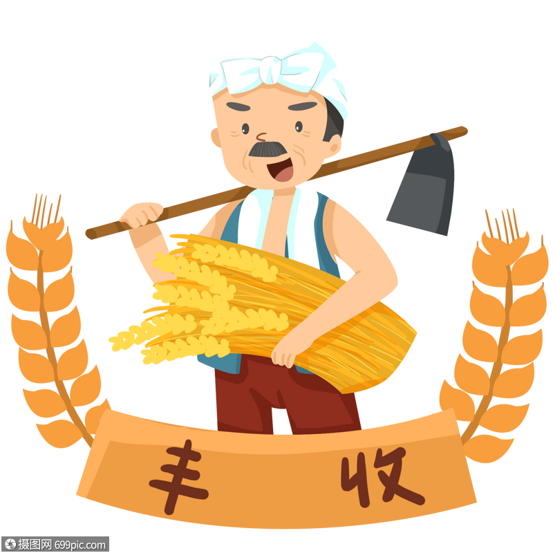 丰收怀抱稻米的农民