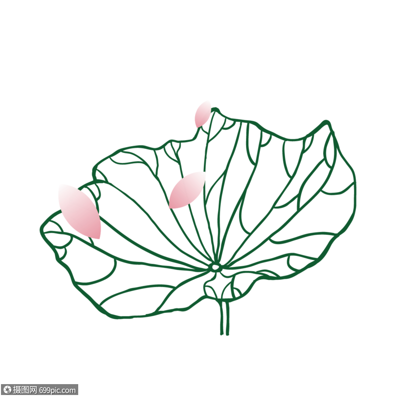 荷叶线稿矢量荷叶花瓣立夏元素
