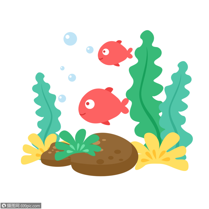 海草和鱼海藻海洋图片