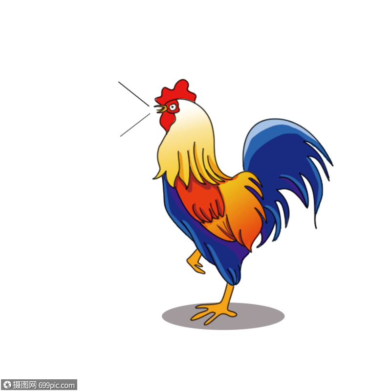 色彩斑斓的大公鸡打鸣手绘
