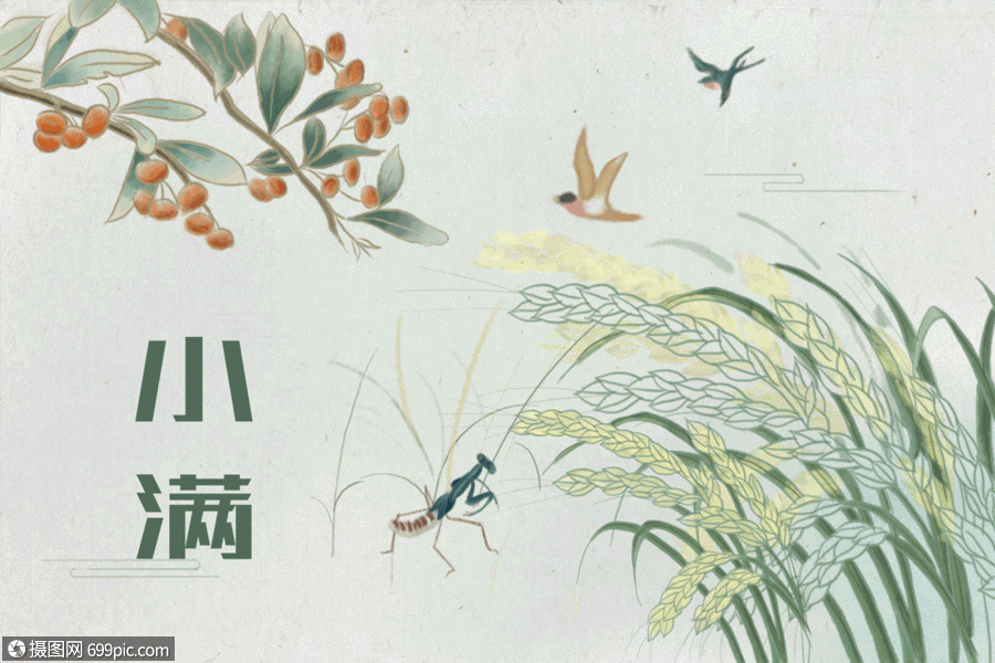 小满gif水彩燕子