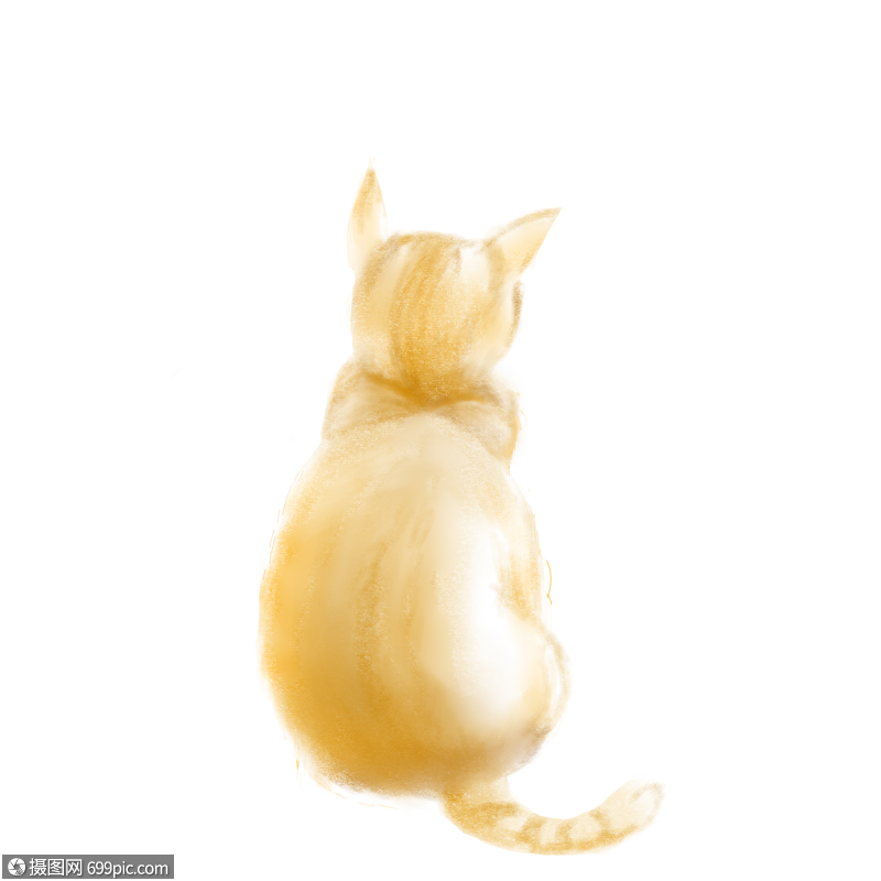 一只猫的背面背影家猫