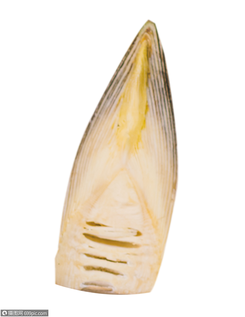 竹笋营养免抠高清图片素材