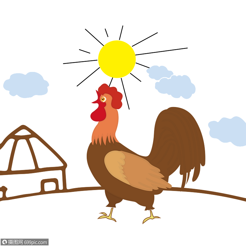手绘卡通公鸡叫早