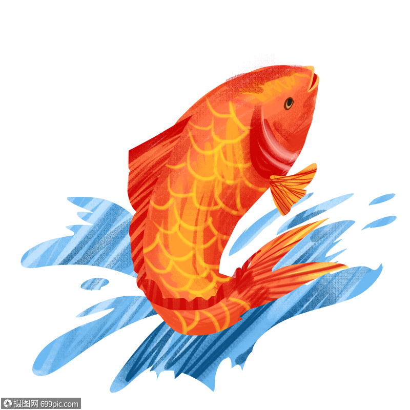 锦鲤吉利鲤鱼高清图片素材