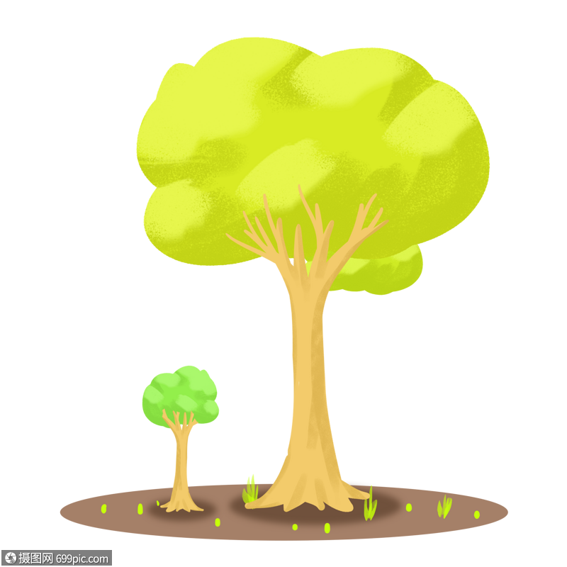 参天大树和小树