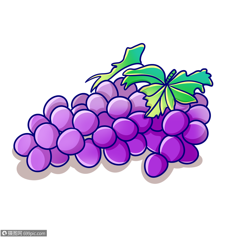 卡通水果葡萄插图