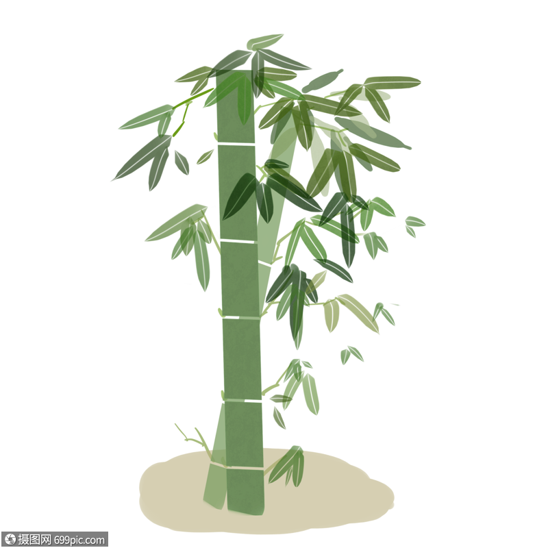 卡通竹子素材免抠图片