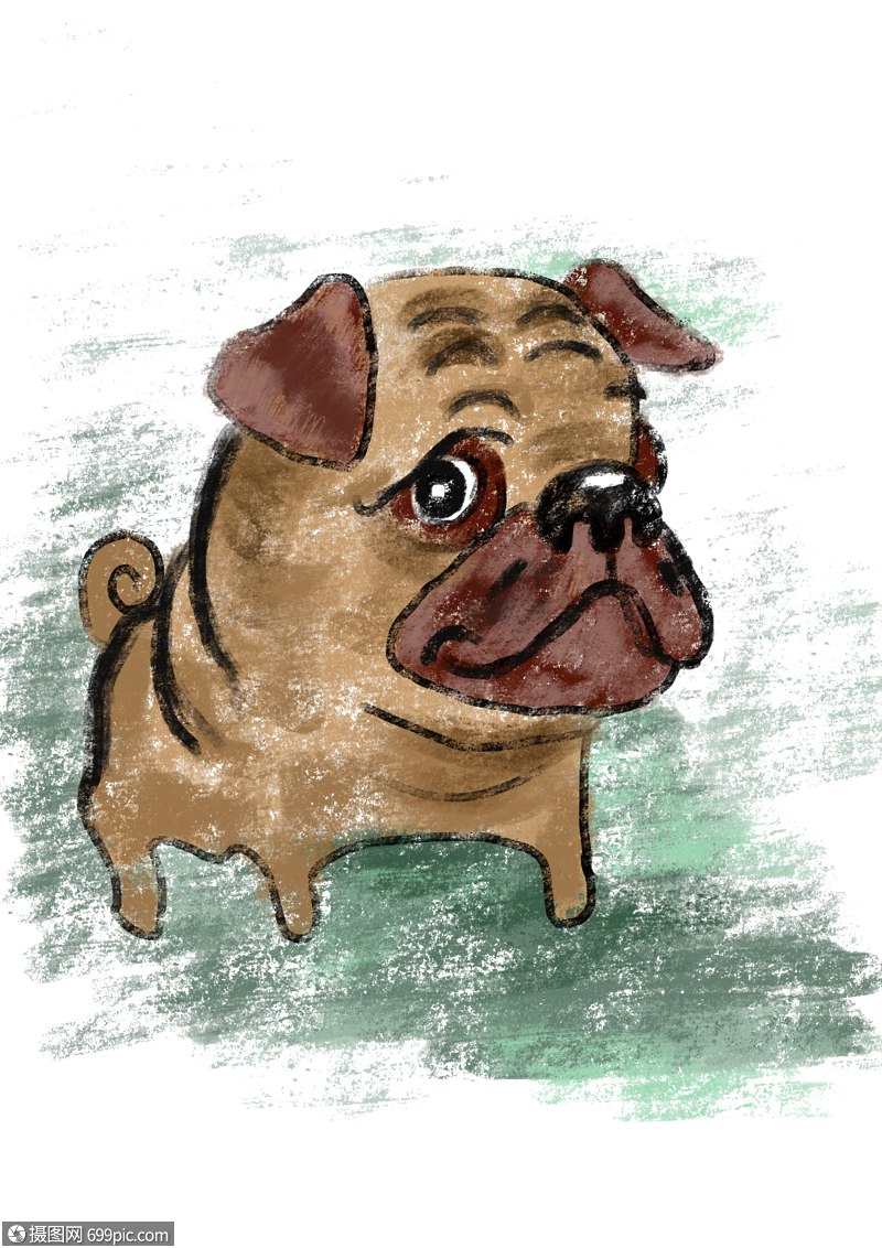 沙皮狗小眼神动物图片