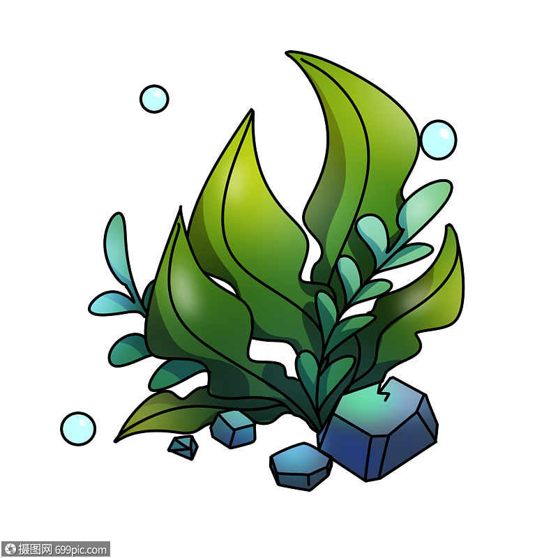 海藻海洋生物卡通图片