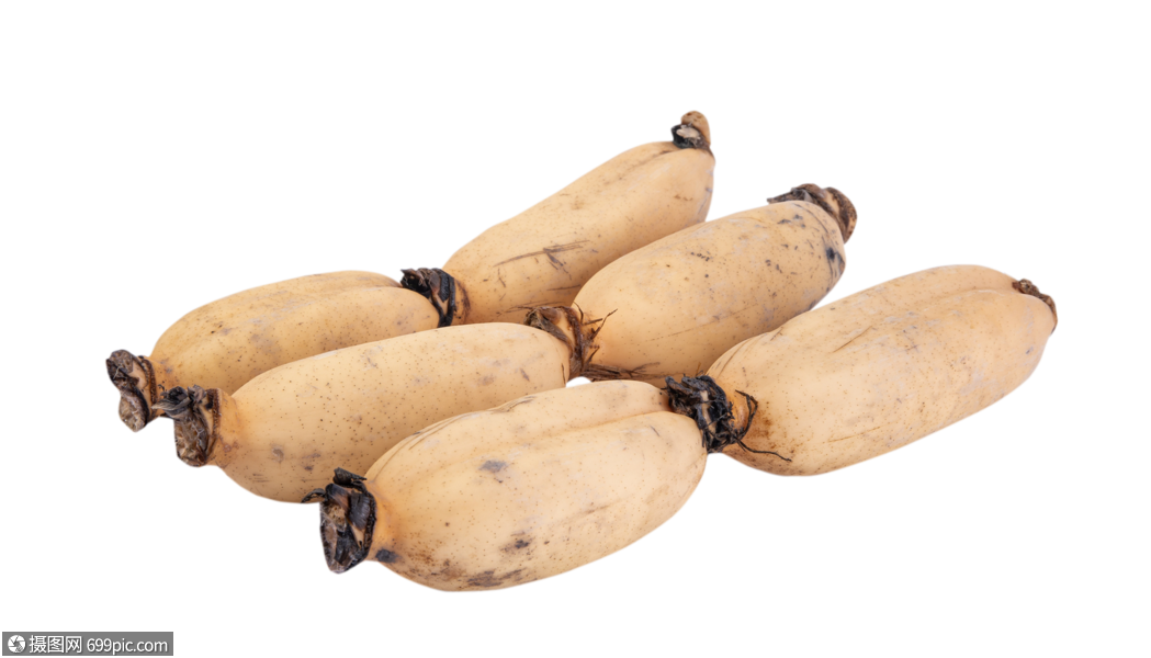 莲藕免抠素材高清图片素材