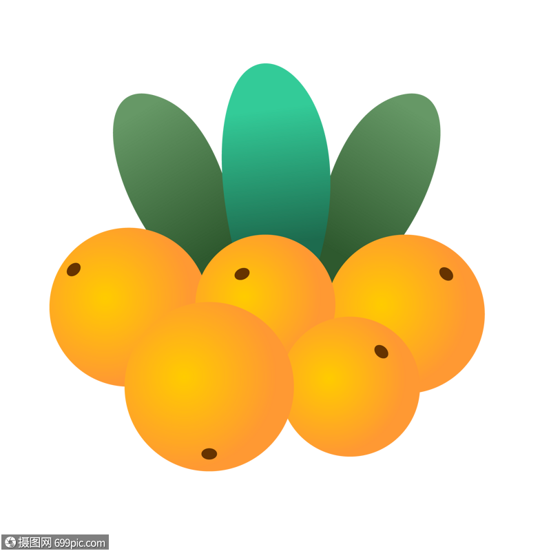 免抠元素 手绘/卡通元素 橘子.ai