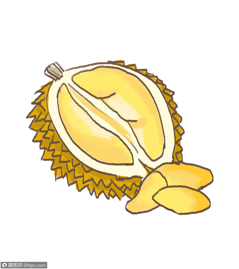 榴莲水果卡通美味食物