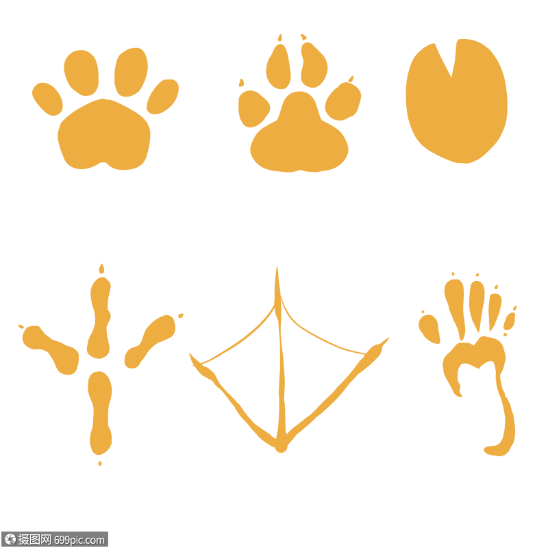 脚印马脚印简笔高清图片素材