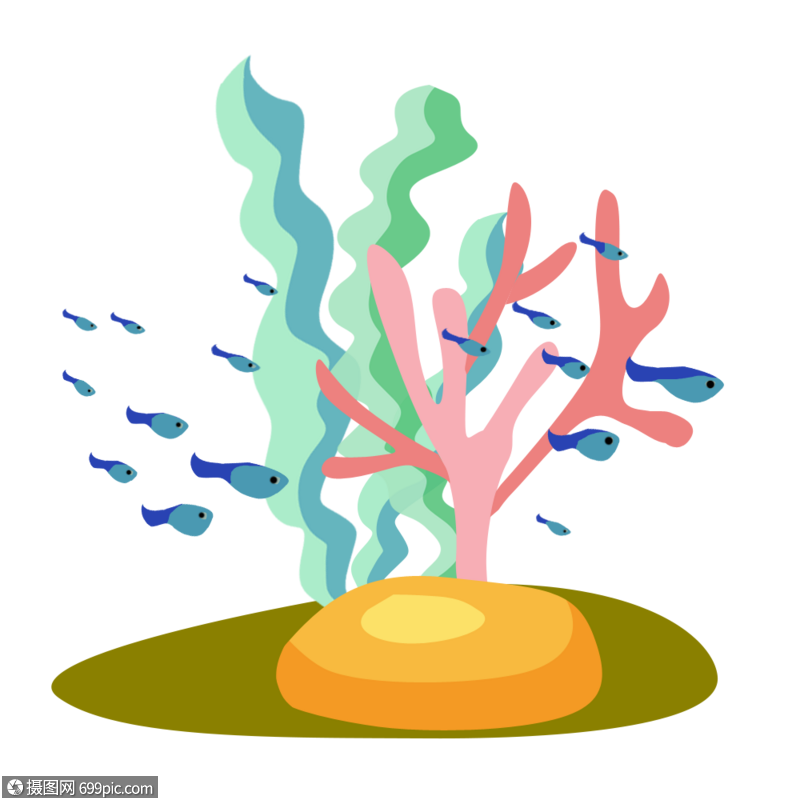 海底珊瑚海底世界图片