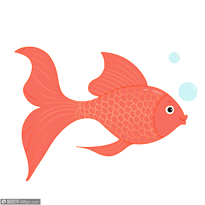 小金鱼吐泡泡图片卡通图片