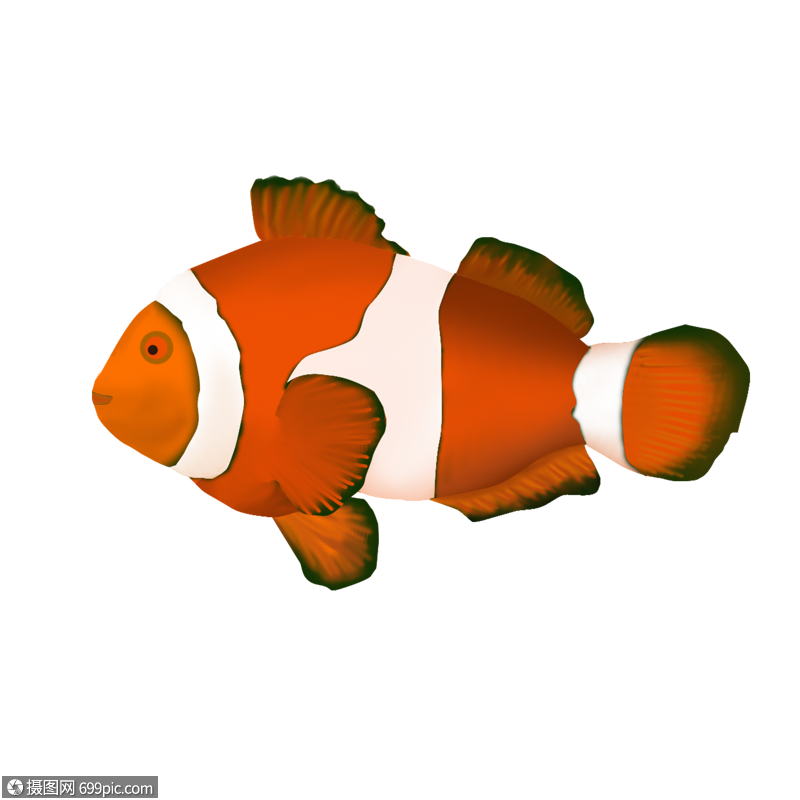 卡通鱼卡通插图创意卡通