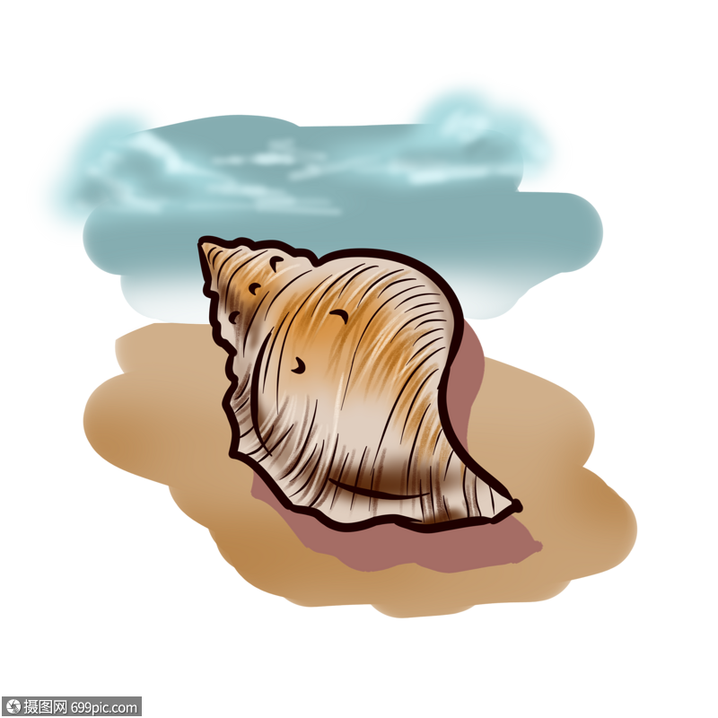 小海螺的头像图片