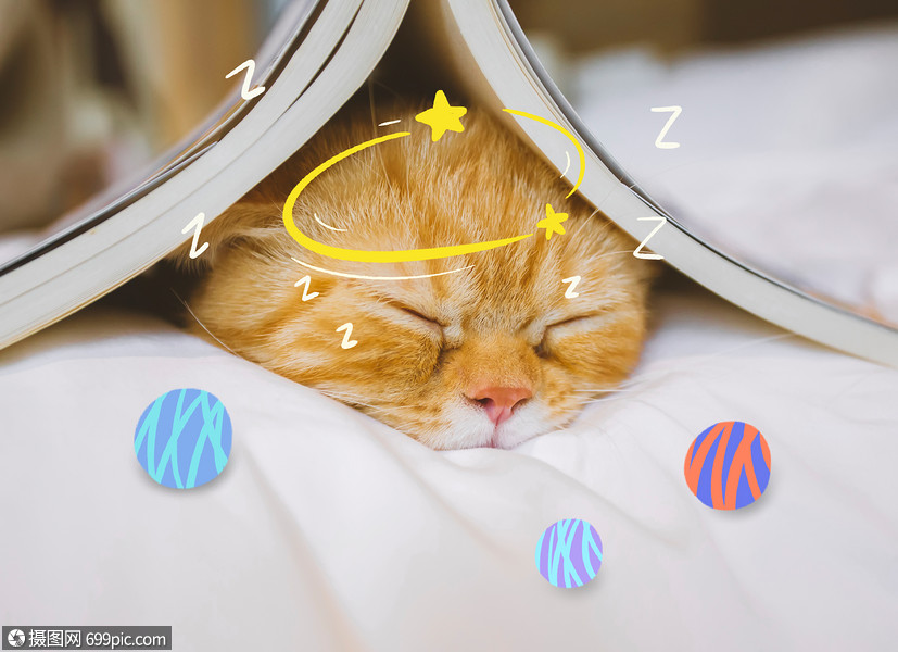 创意漫画可爱喵咪打瞌睡