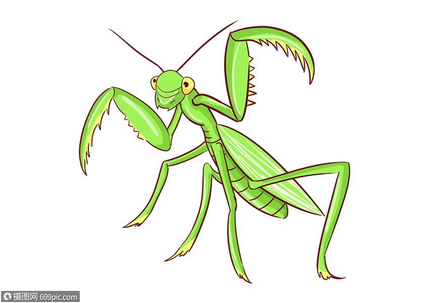 免抠元素 手绘/卡通元素 螳螂 螳螂.psd