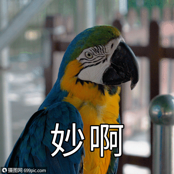 妙啊聊天表情包gif