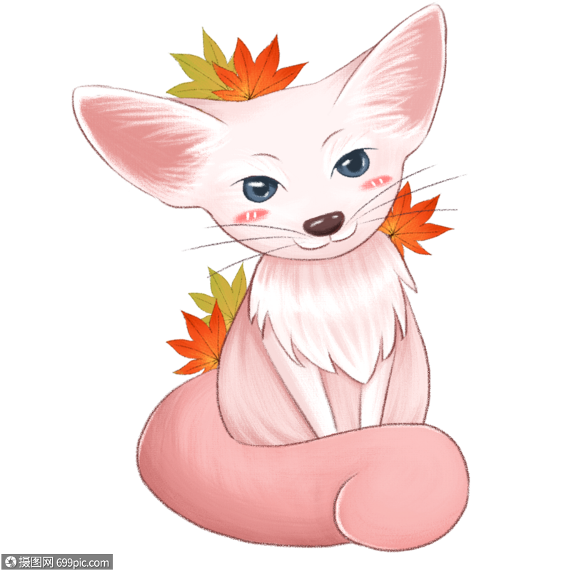 戴枫叶的阔耳狐动物狐狸