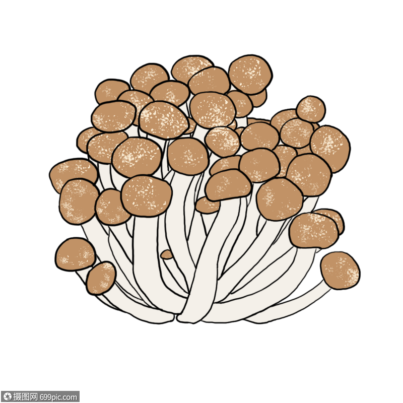蟹菇蘑菇元素