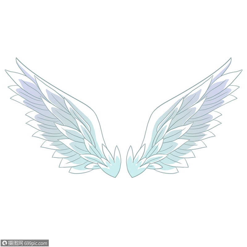 天使翅膀一双翅膀羽毛