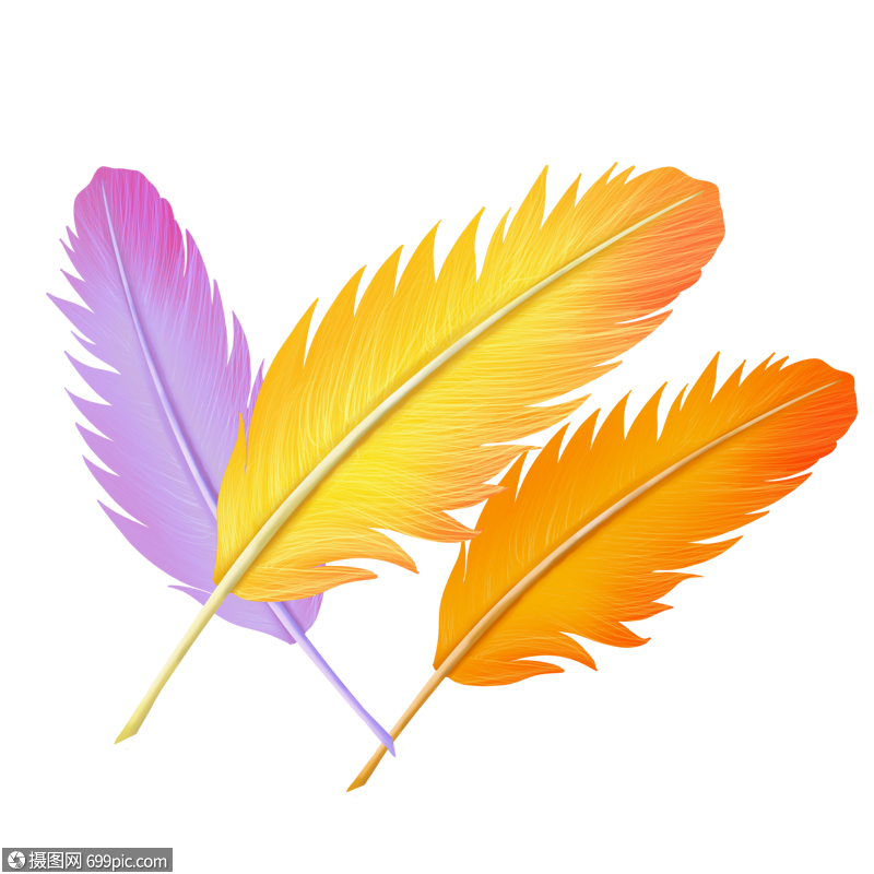 卡通三支羽毛插图