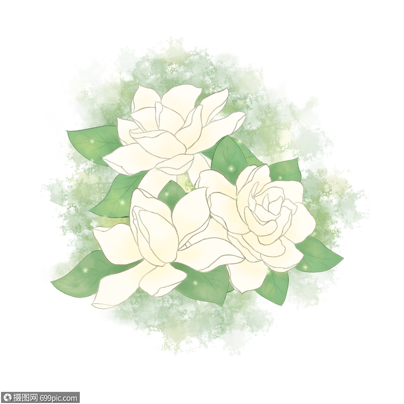 免抠元素 手绘/卡通元素 栀子花.psd