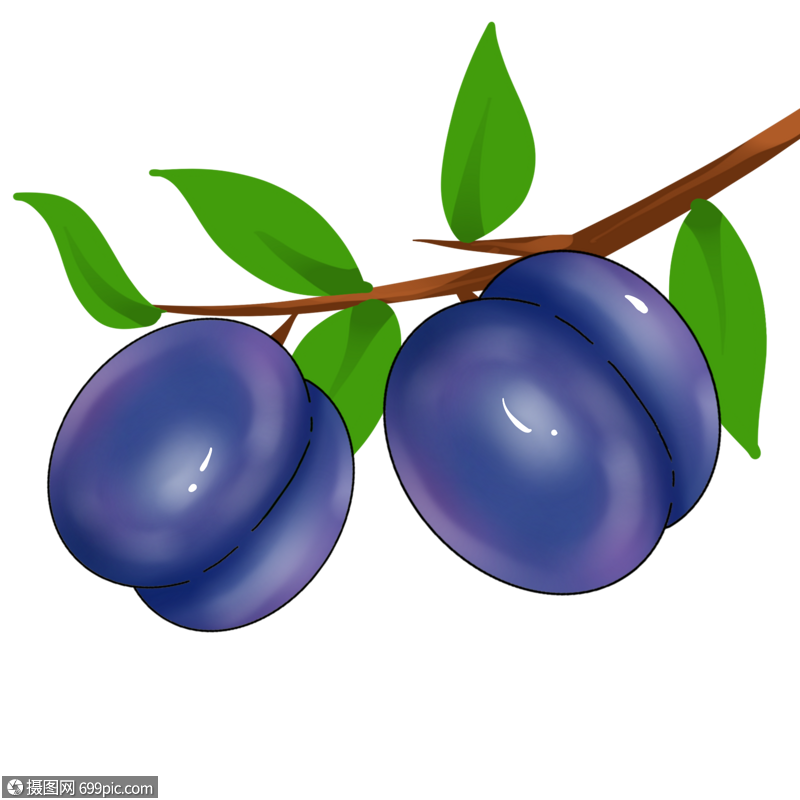 卡通紫色李子