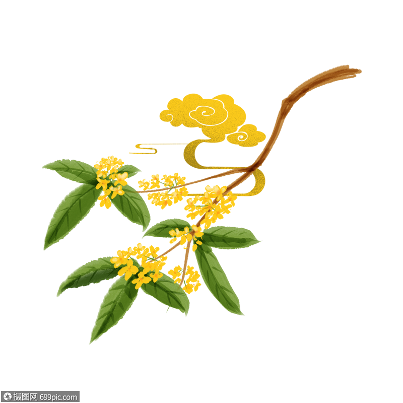 卡通桂花边框背景图片