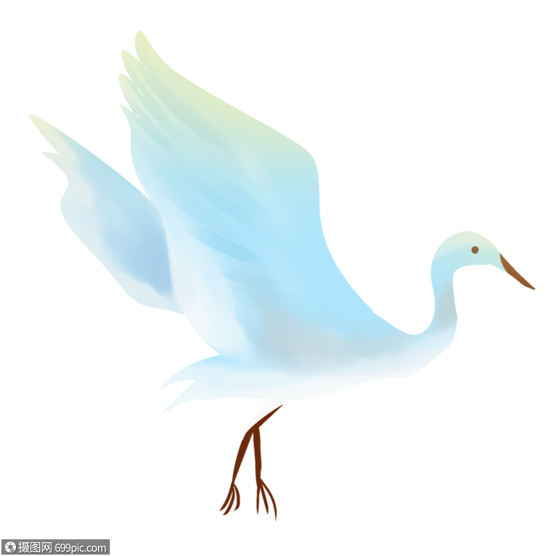 飞翔的白鹭小鸟白鹭图片