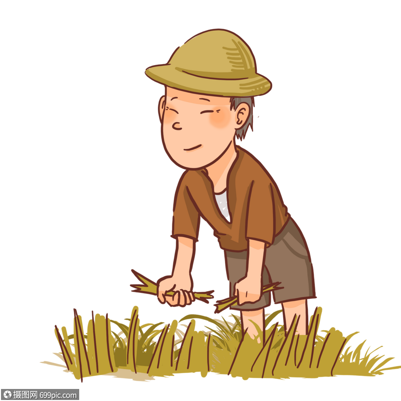 世界粮食日农民种田