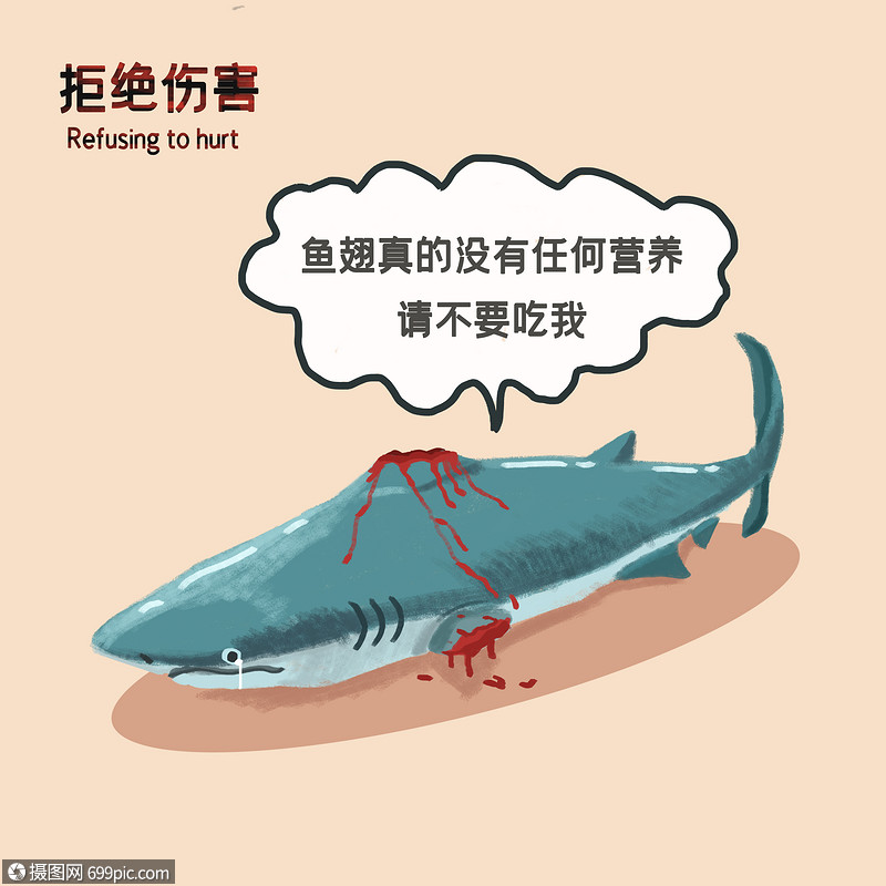 保护动物禁止狩猎拒绝杀戮鲨鱼猎杀鱼翅