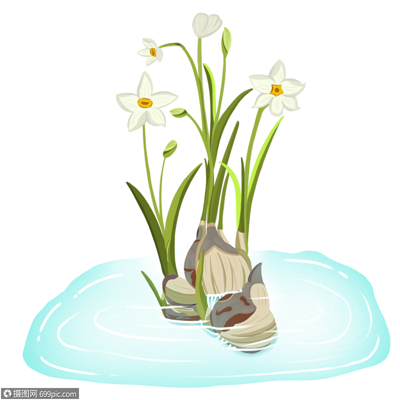 免抠元素 手绘/卡通元素 水培水仙花.psd