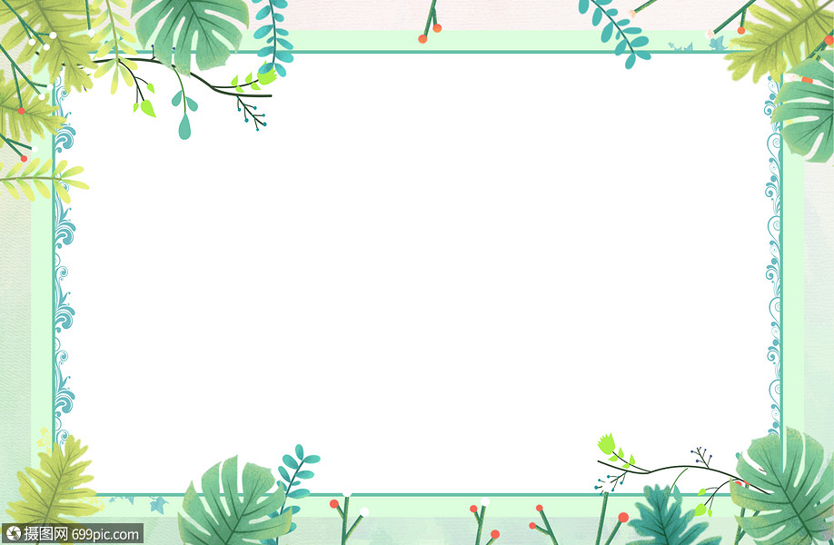 春天植物背景叶子树叶