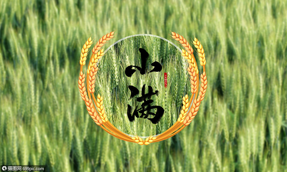 小满24节气绿色图片