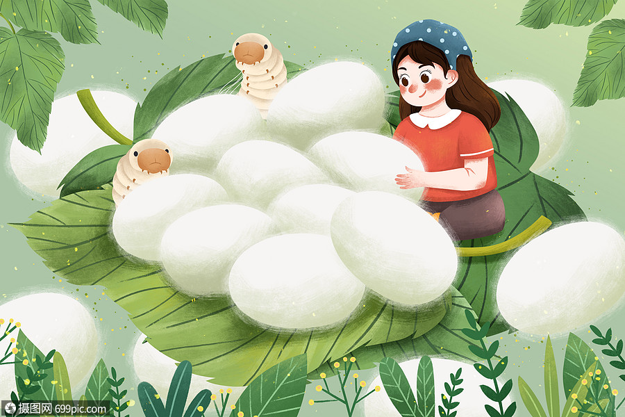 二十四节气小满蚕茧插画桑叶植物