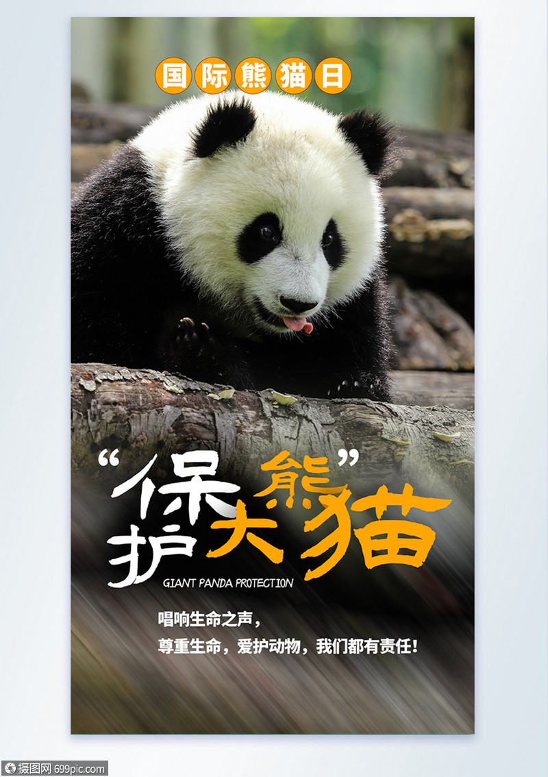 保护熊猫创意海报图片