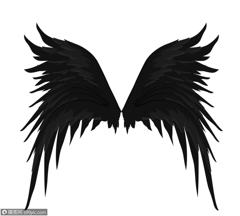 黑色堕落天使翅膀翼羽