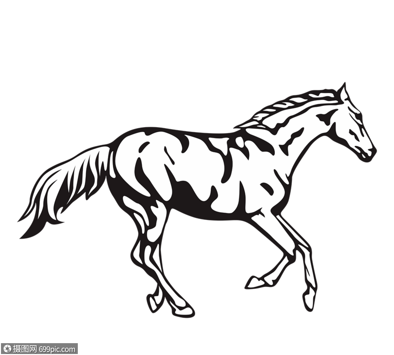 一匹马在黑色和白色中运行剪影